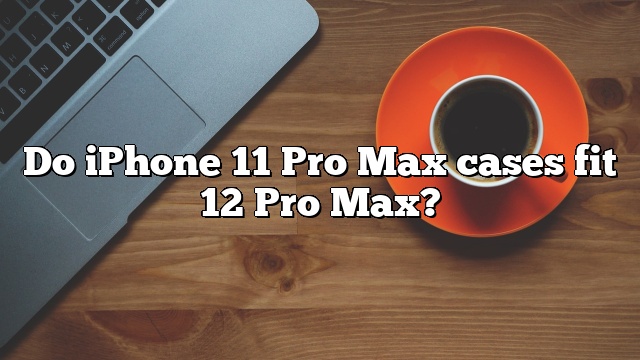 Do iPhone 11 Pro Max cases fit 12 Pro Max?