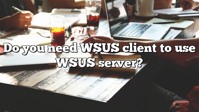 Do you need WSUS client to use WSUS server?