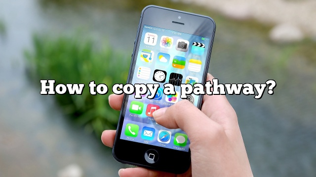 How to copy a pathway?