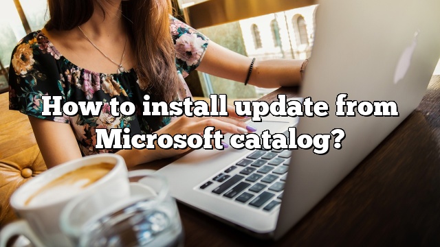 How to install update from Microsoft catalog?