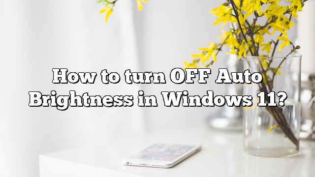 How to turn OFF Auto Brightness in Windows 11?