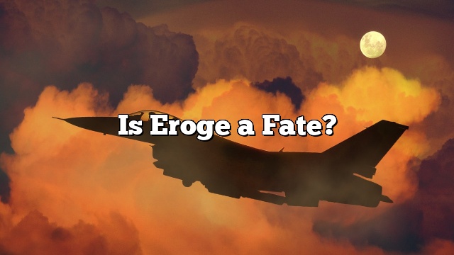 Is Eroge a Fate?