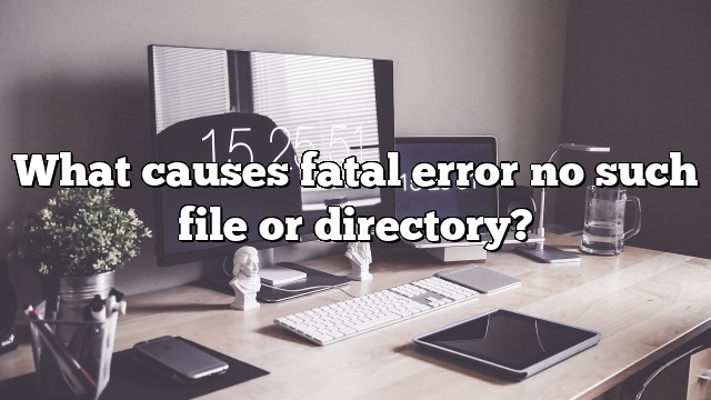 What causes fatal error no such file or directory?