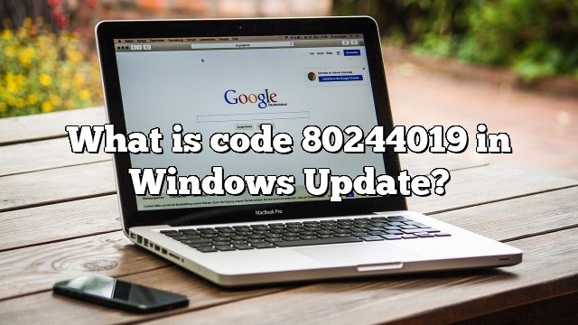 What is code 80244019 in Windows Update?