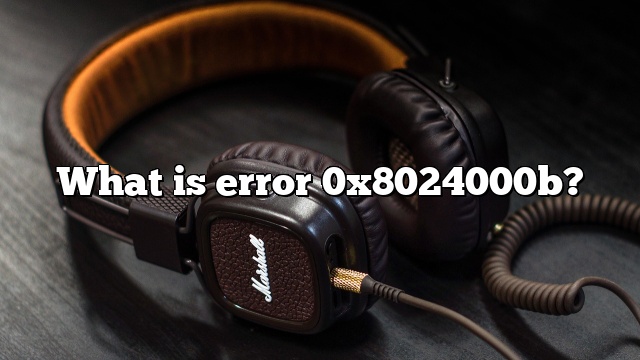 What is error 0x8024000b?