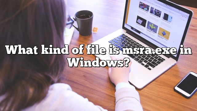 What kind of file is msra.exe in Windows?